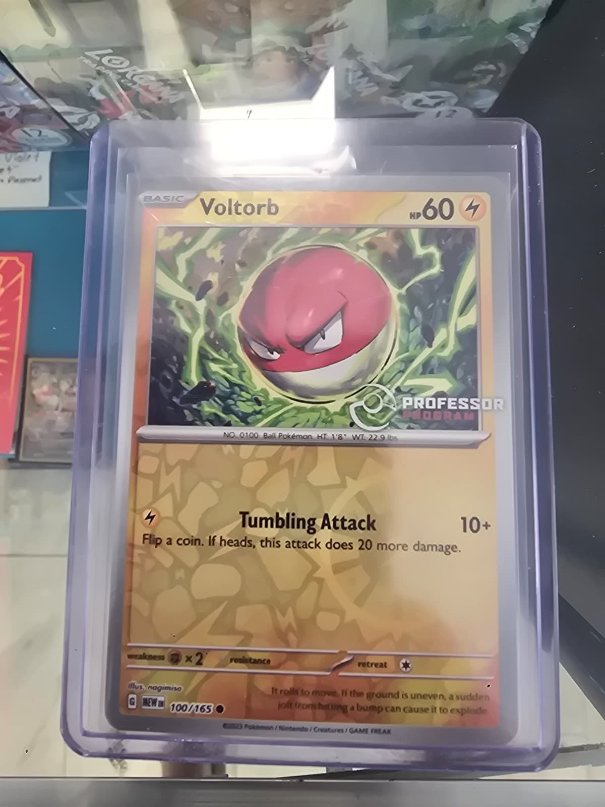 Pokemon 151 MEW EN 100/165 Voltorb PROFESSOR PROGRAM STAMPED PROMO Reverse Holo