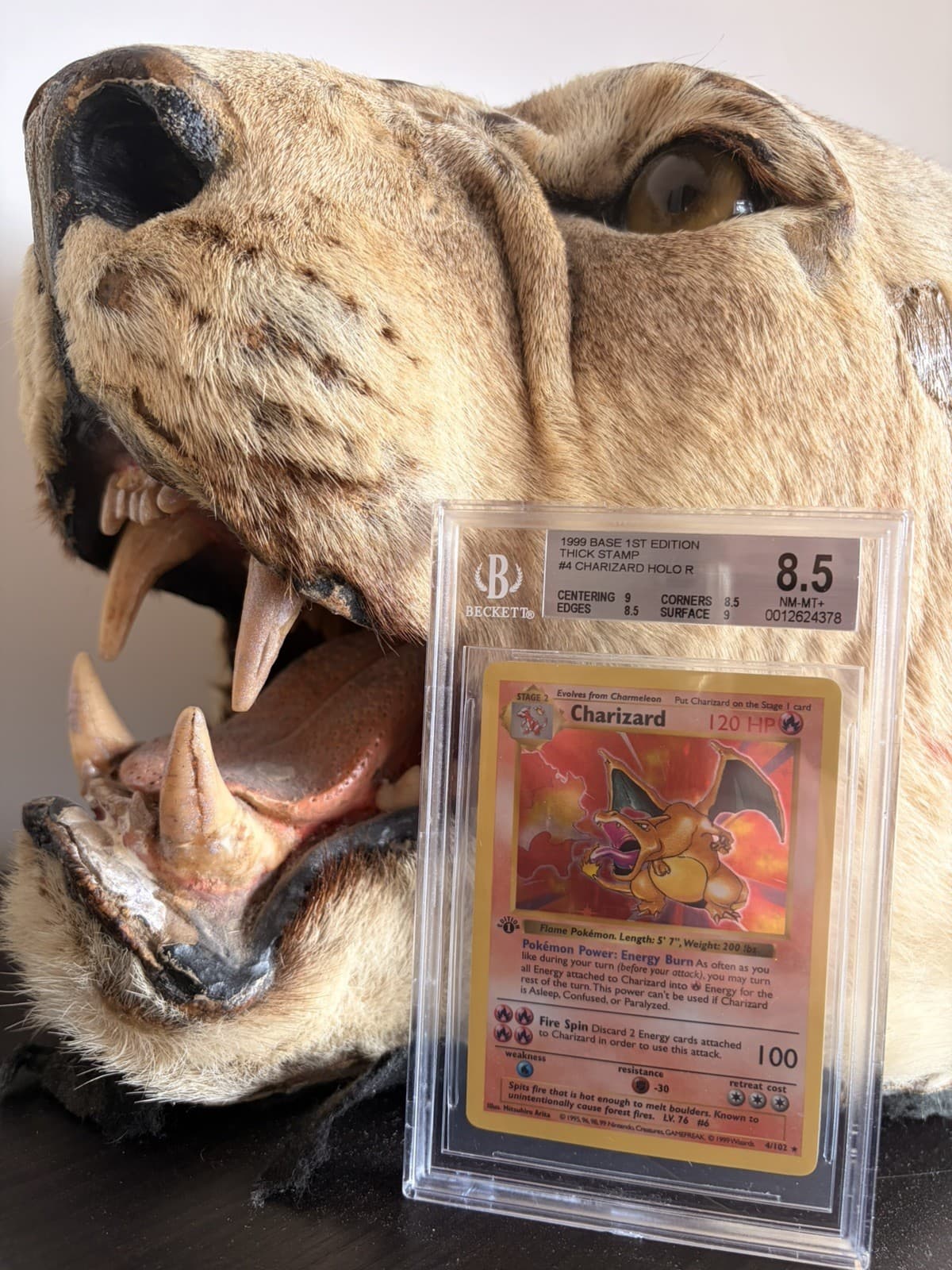 1999 Pokemon Base Set Charizard Holo Card 4/102 1st Edition BGS 8.5 (PSA9/10)
